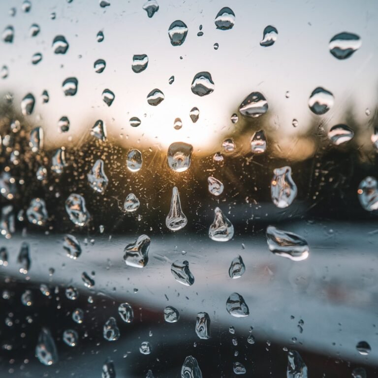 Mẹo của mẹ để loại bỏ độ ẩm trên cửa sổ mà không cần thìa và muối