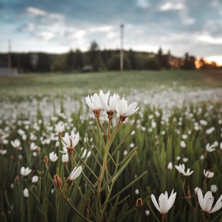 Một mẹo khéo léo để làm sạch bình thủy tinh. Các khoản tiền gửi sẽ biến mất mãi mãi.